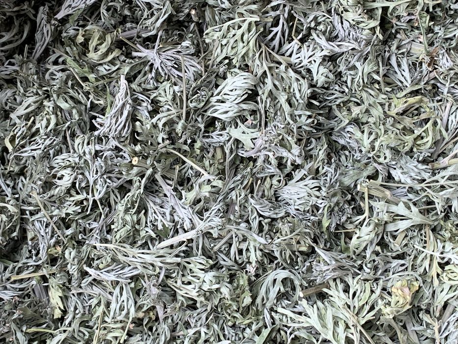 Полинь гірка та деревій сушений