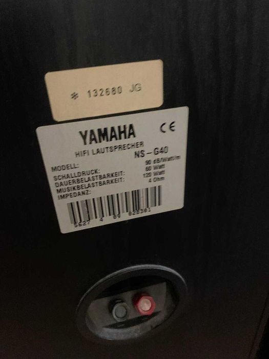 Yamaha    NS-G40, Амфитон