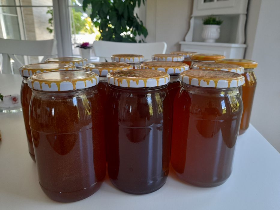 Miód wielokwiatowy, akacjowy, faceliowy, miód leśny 2025r. i inne,