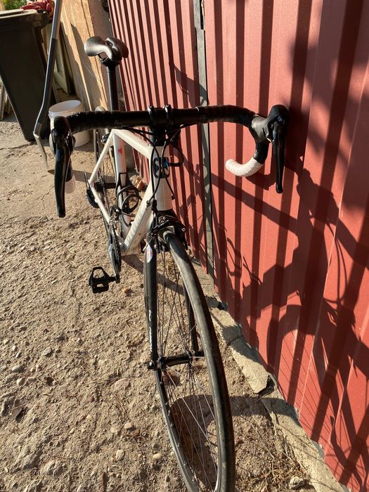 Szosa Triban 520 damska