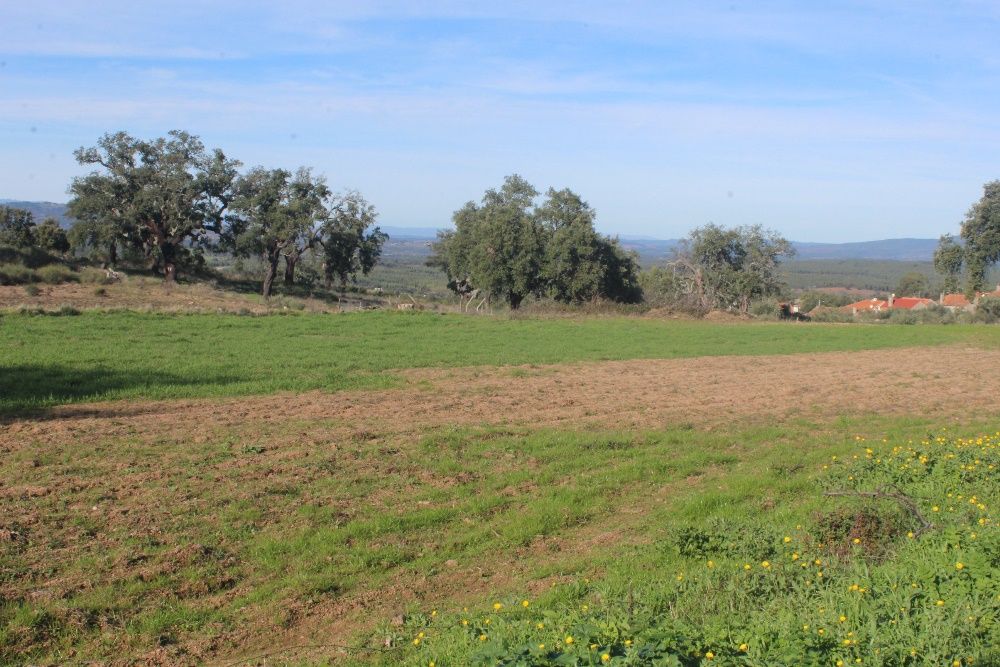 Terreno Aldeia Santa Margarida