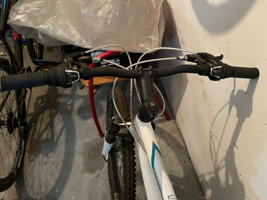 Vendo bicicletas Berg