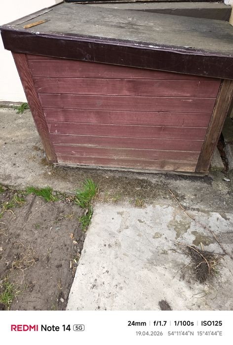 Buda dla psa za darmo