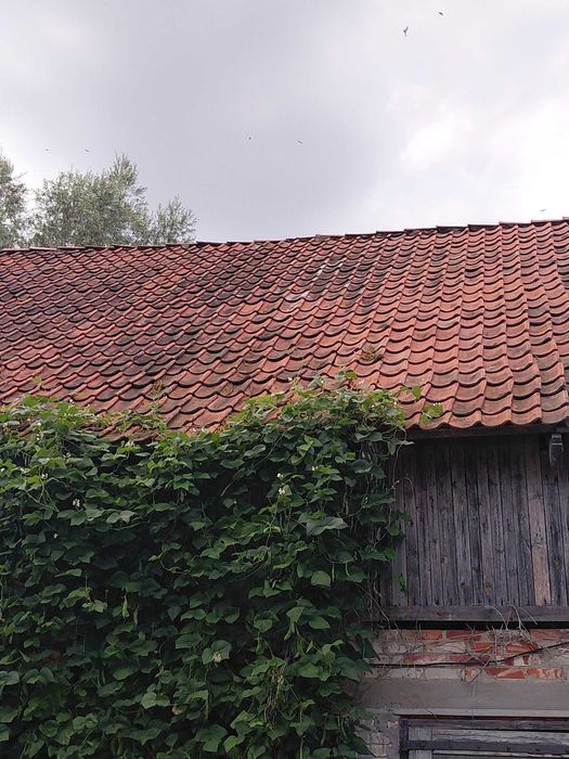 Dachówka ceglana