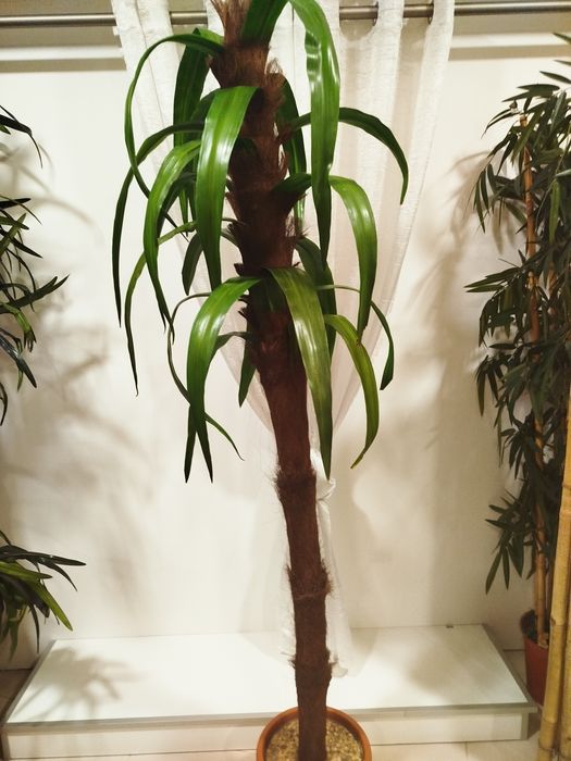 Planta Artificial