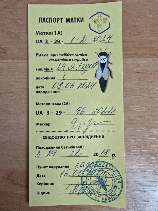 Продам бджолопакет