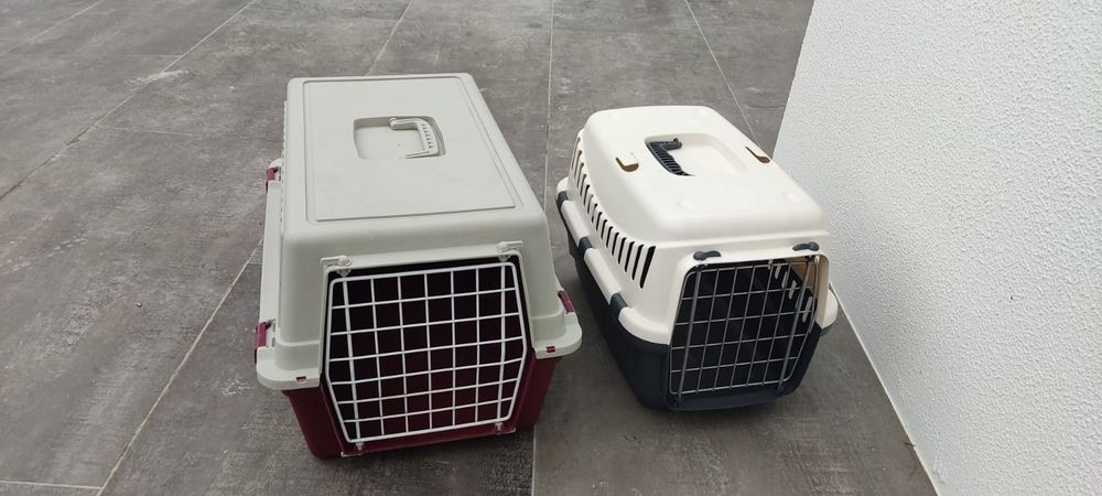 Transportadoras gatos e cães