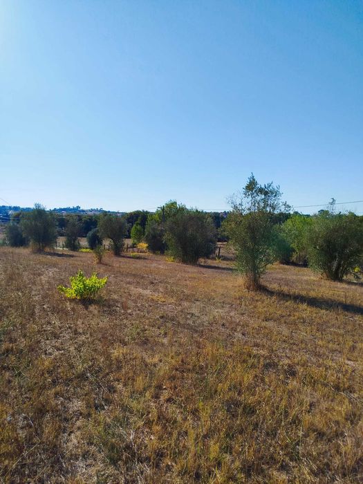 Arrendo Quinta em Gouveia