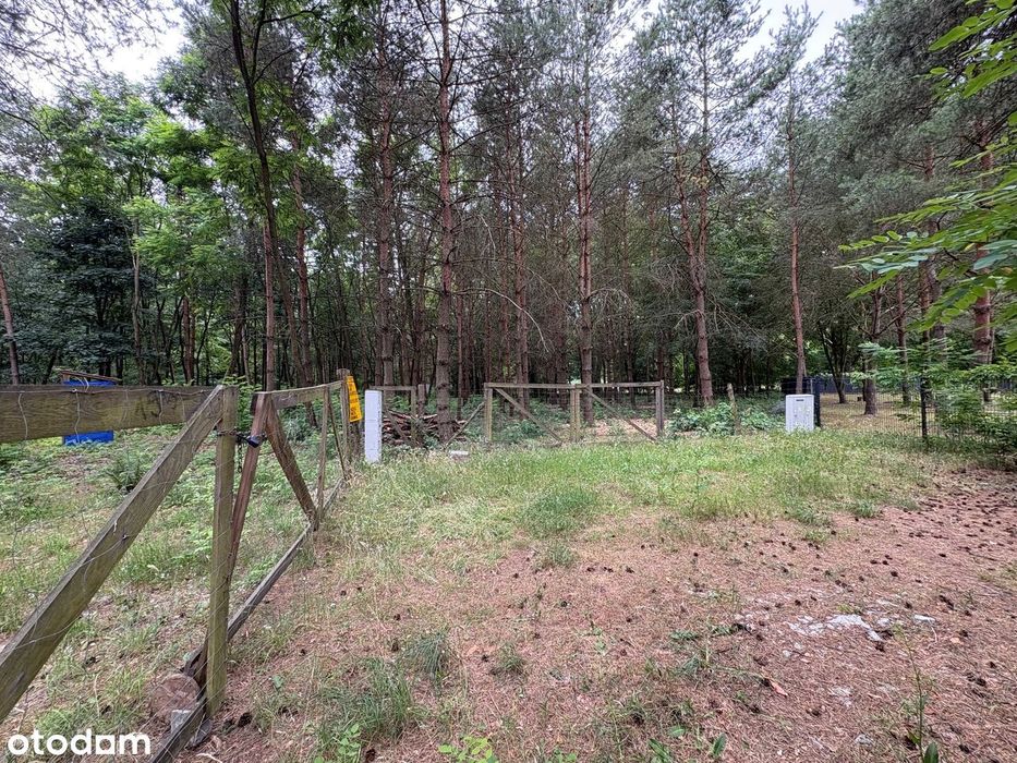 Działka budowlana 1505 m² , ogrodzona, prąd, Wężyk, gmina Grodzisk Maz