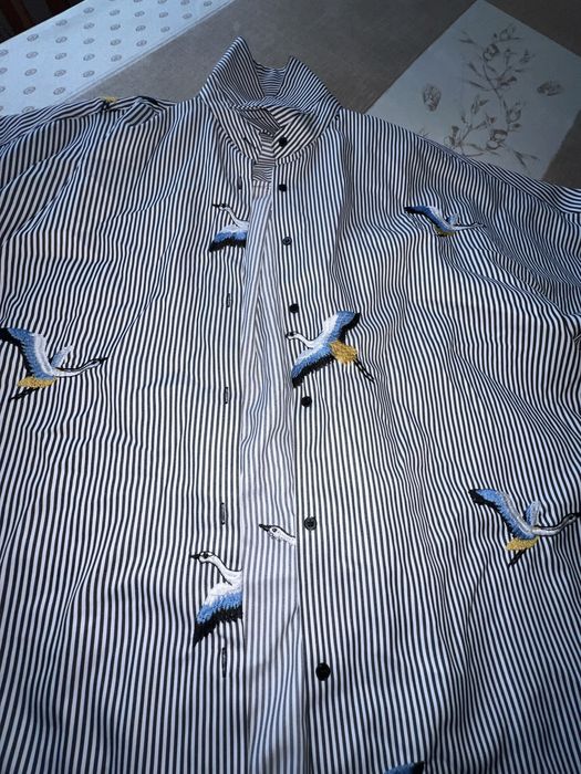 Koszula w paski haftowana w ptaki zara