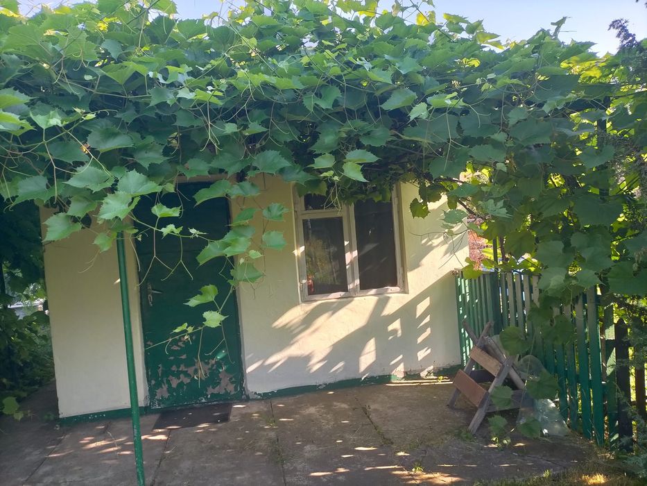 Sprzedam ogródek działkowy 450 m2 w Ogrodach Działkowych ,,Kwitnąca Dolina"
