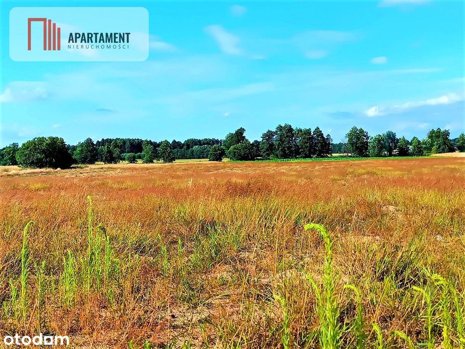 Zławieś Mała 1002m2 Cisza Spokój Super Lokalizacja
