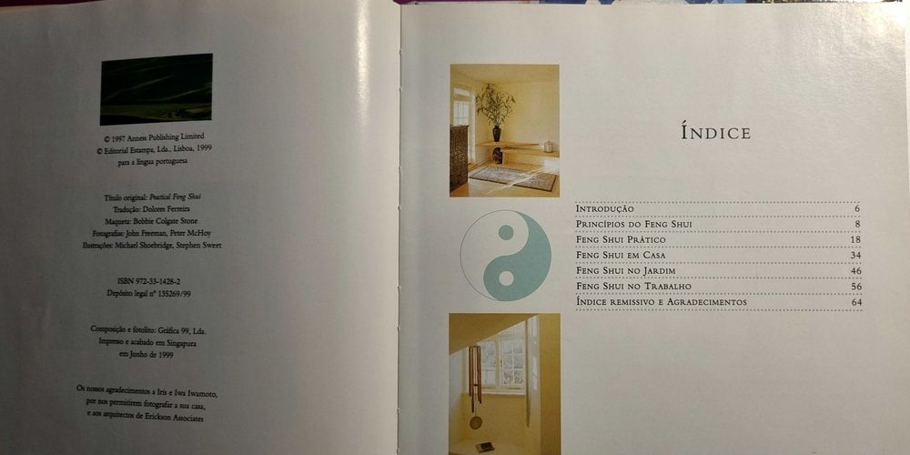Feng Shui - Para uma organização integral do espaço de Richard Craze