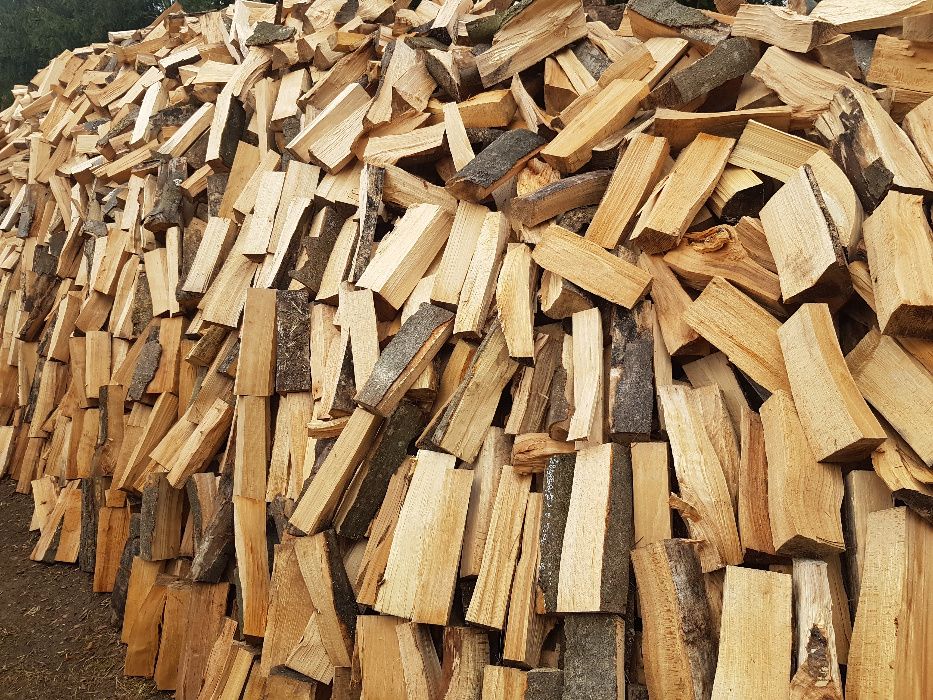 drewno kominkowe suche sezonowane