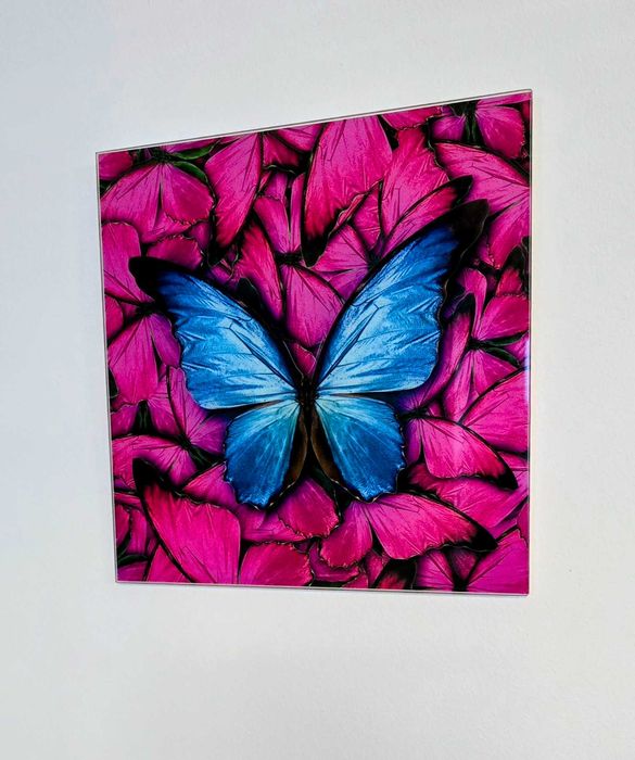 Szklane Obrazy 20x20 - 2 sztuki motyle
