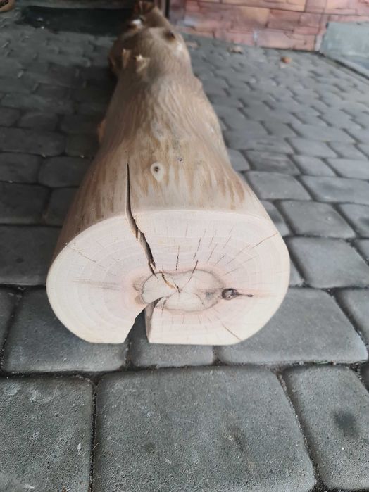 Pozostałosci po weselu