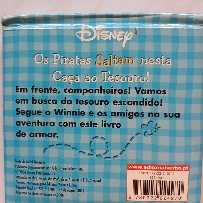 Livro " Caça ao Tesouro "