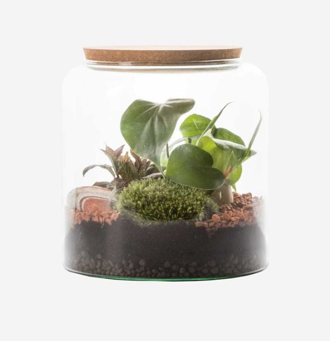 Conjunto de ferramentas para terrarium terrário marca ADA AQUA DESIGN AMANO (qualidade para profissionais)