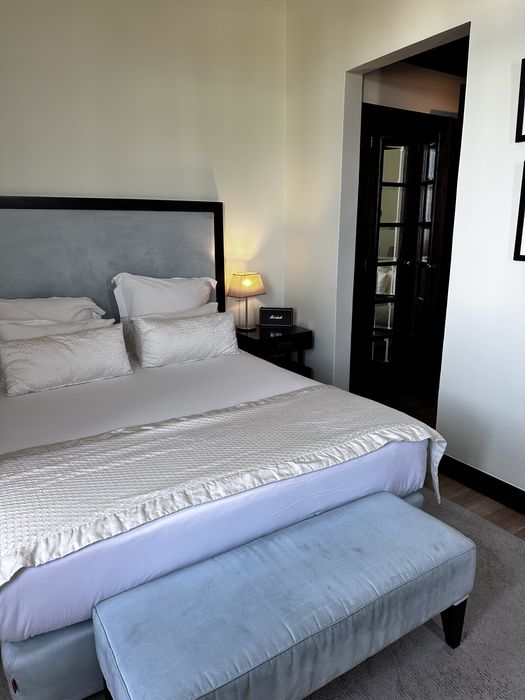 Limpeza profissional