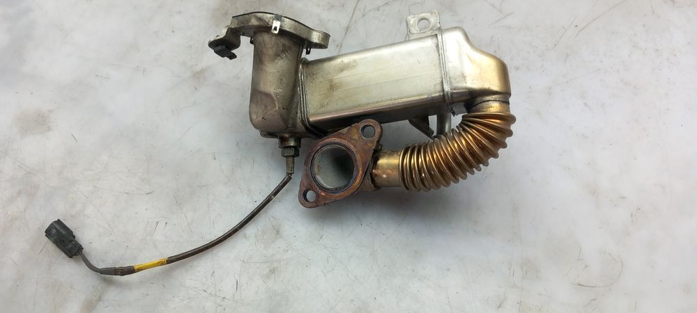 Radiador de gases / EGR NISSAN Qashqai/Qashqai+2 I (J10, JJ10)