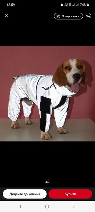 Комбінезон дощовик на собаку до 12 кг міні пудель, джек рассел