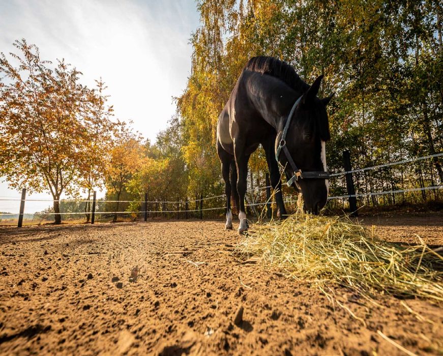 Kratka eco INOVgreen / powierzchnia biologicznie czynna / wytrzymała