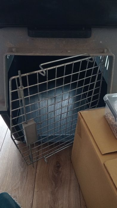 Klatka do przewozu psa