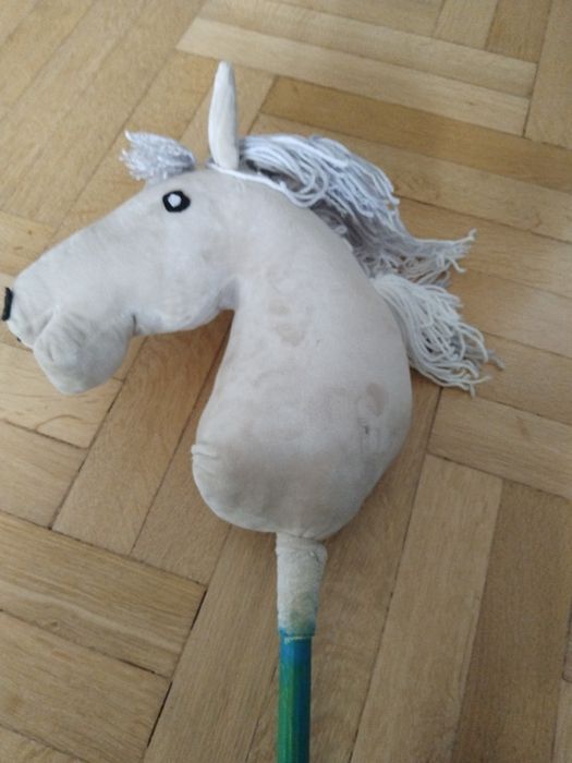 Hobby horses koń