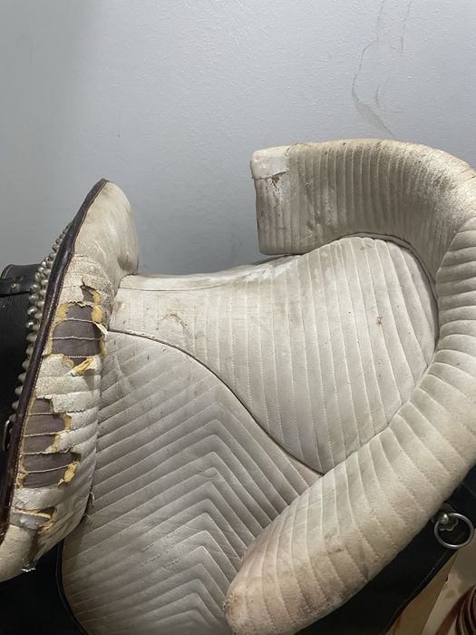 Sela portuguesa com xairel e rabecheira