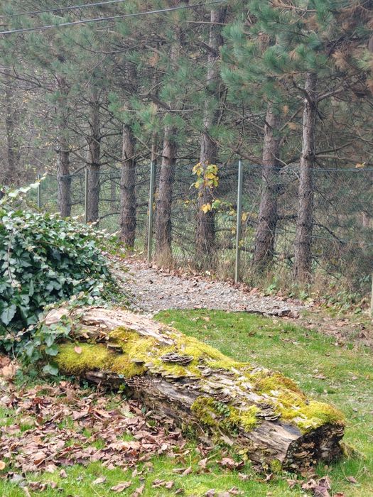 Dom wakacyjny dla 10-14 osób. 1000zl/doba