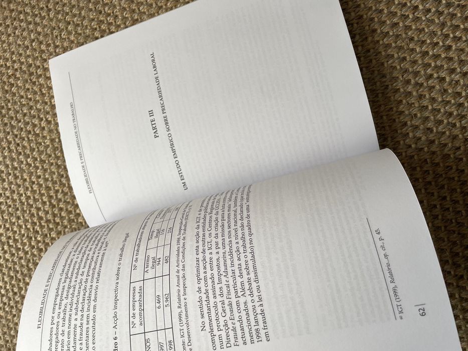 Flexibilidade e Precariedade no Trabalho, Glória Rebelo