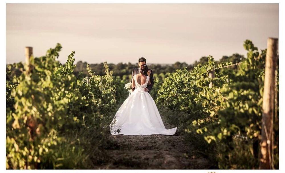 Fotógrafo Profissional