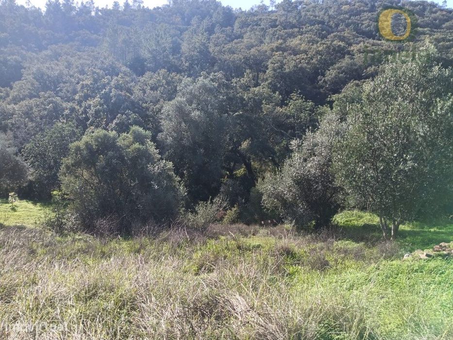 Terreno Venda Loulé