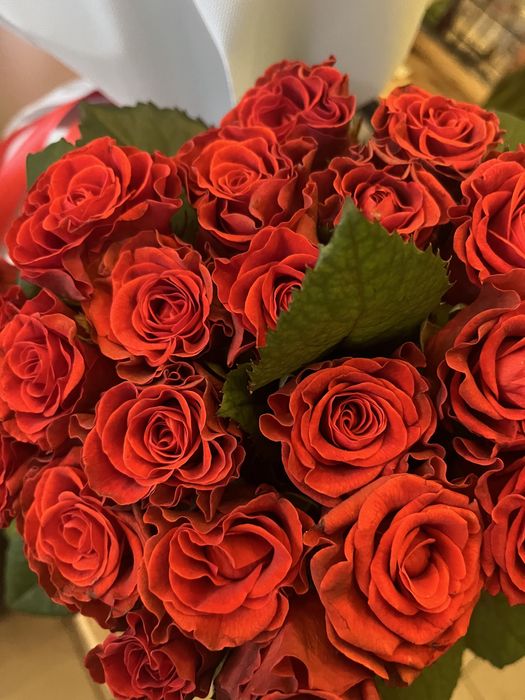 101 троянда львів