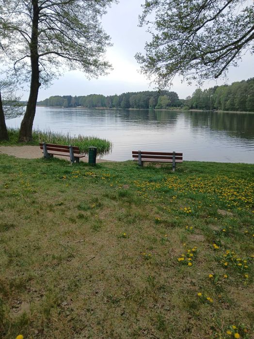 Domek do wynajecia w Urszulewie