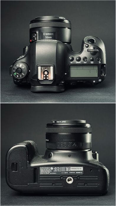Canon 6d mark II + Lens Canon EF 50mm f/1.8 STM