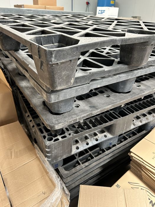 Paletes de Plastico