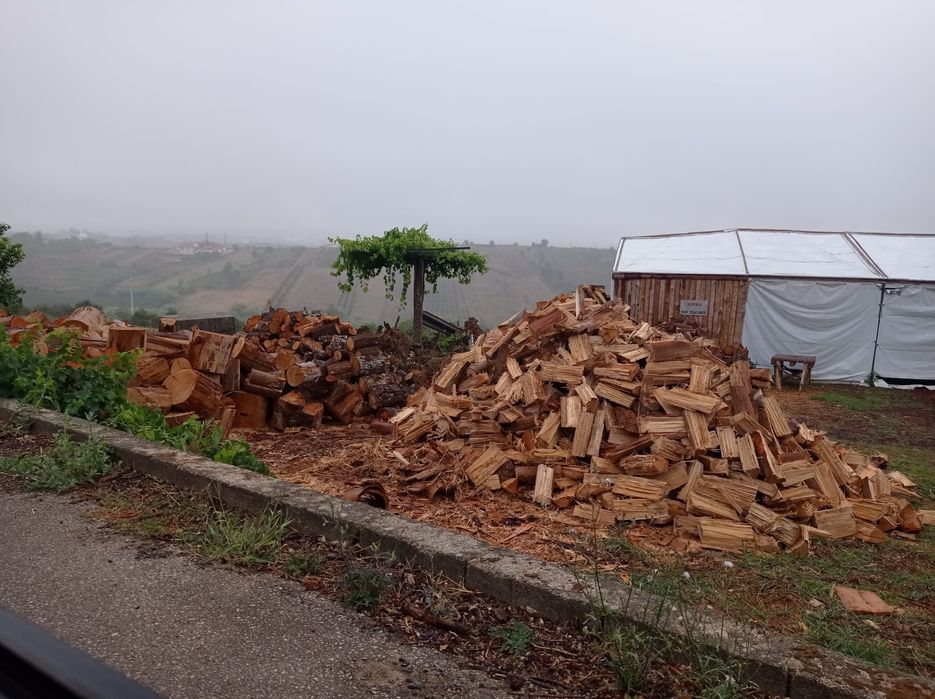 Eucalipto para venda