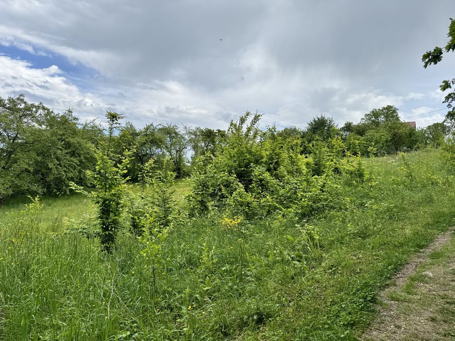 Земля 10 сотих під будівництво м. Долина, вул. Томашівського 1А