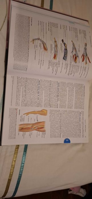 Livro de Anatomia