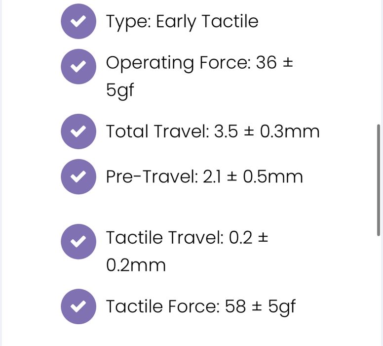 Akko Cilantro 90 sztuk