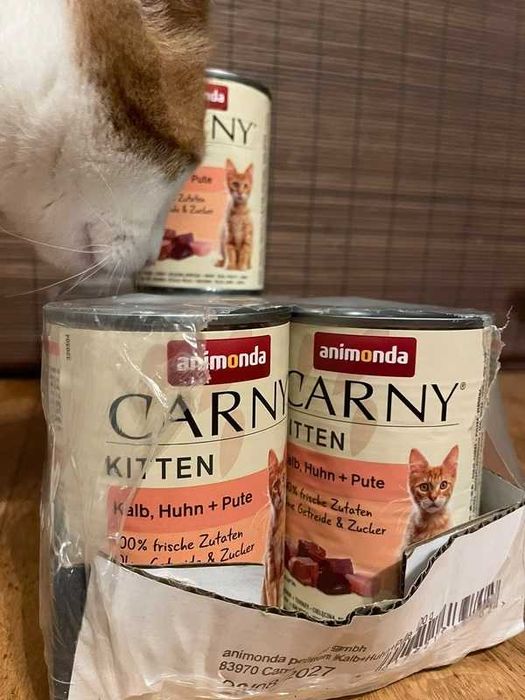 Animoda Kitten 12x 400g karma dla kota cats kitten chicken