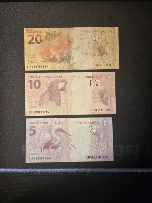 5, 10 e 20 reais de 2010