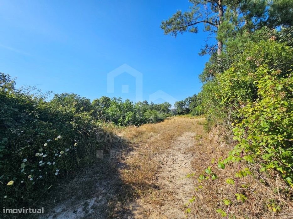 Vende Terreno - Ericeira 30 km, A Casa das Casas