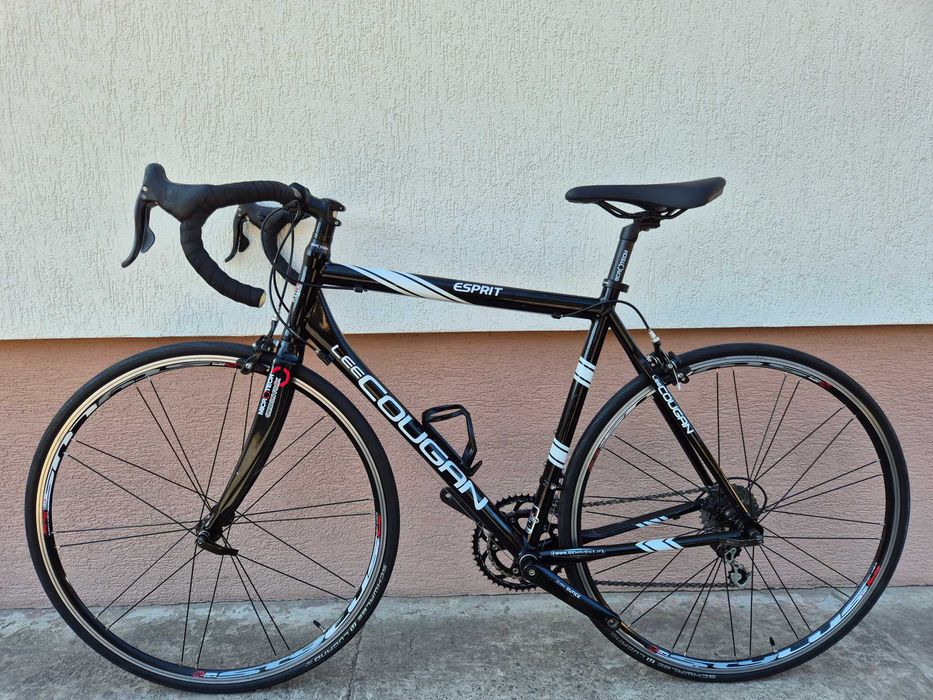 Rower szosowy Lee Cougan, alu/carbon, Campagnolo