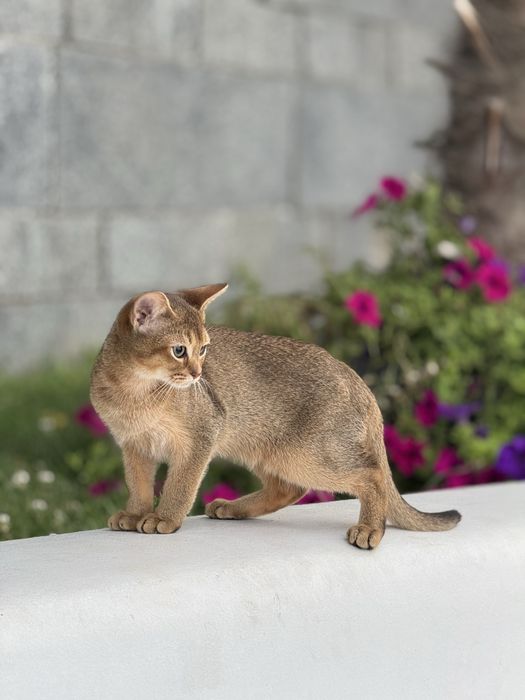 Найніжніший хлопчик чекає на улюблену родину