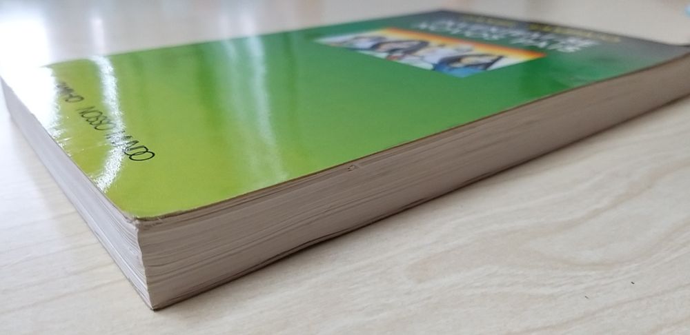 Inventem-se Novos Pais de Daniel Sampaio.