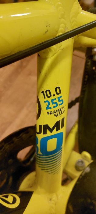 Rower Kellys Lumi 30 rama 10 koła 20 cali