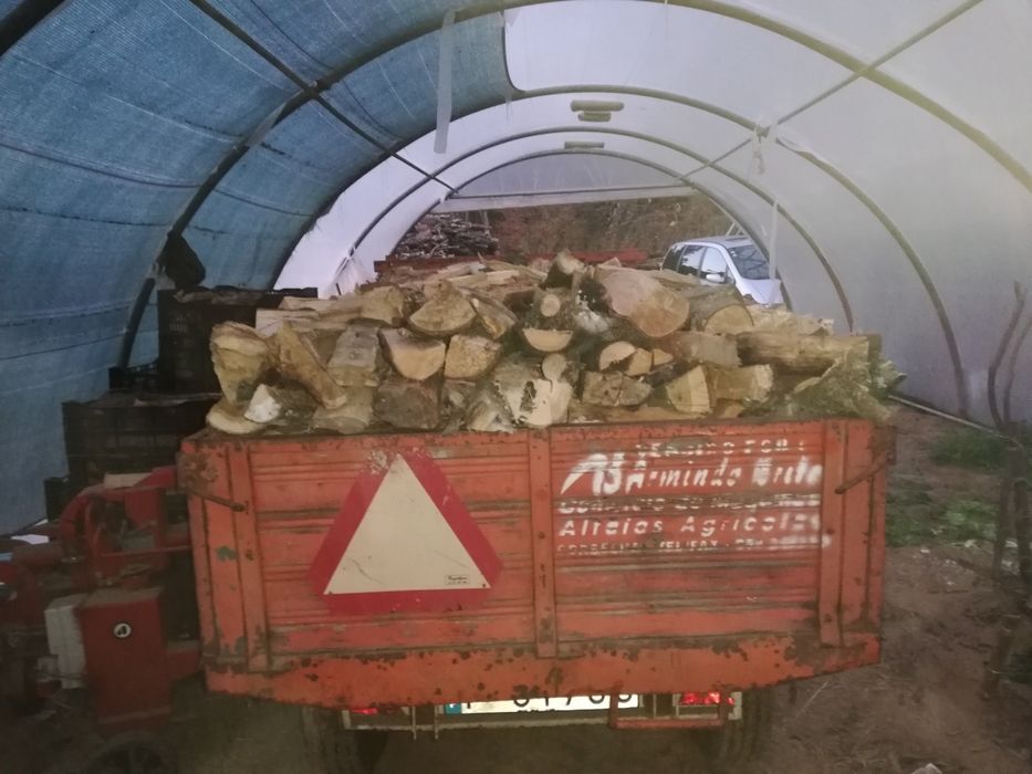 Lenha rachada medida média que dá para todos os equipamentos