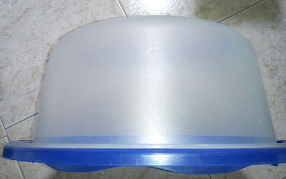 Boleira redonda, Nova425031539979069441